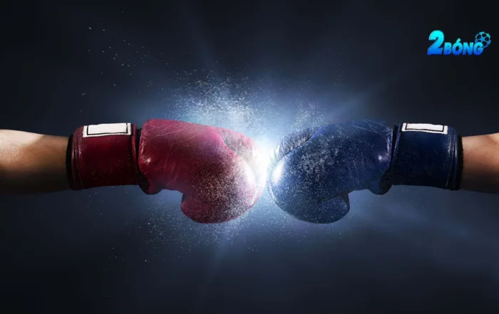 Toàn cảnh về cá cược boxing mà newbie không thể bỏ qua