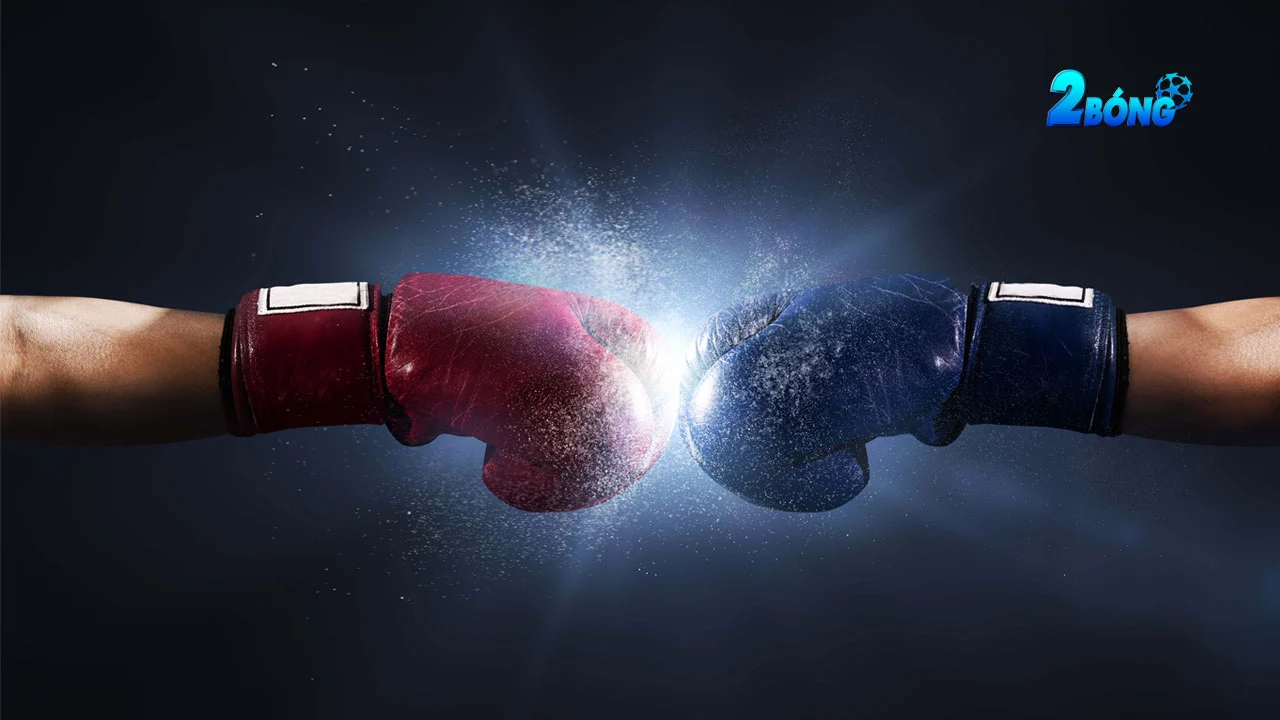 Toàn cảnh về cá cược boxing mà newbie không thể bỏ qua
